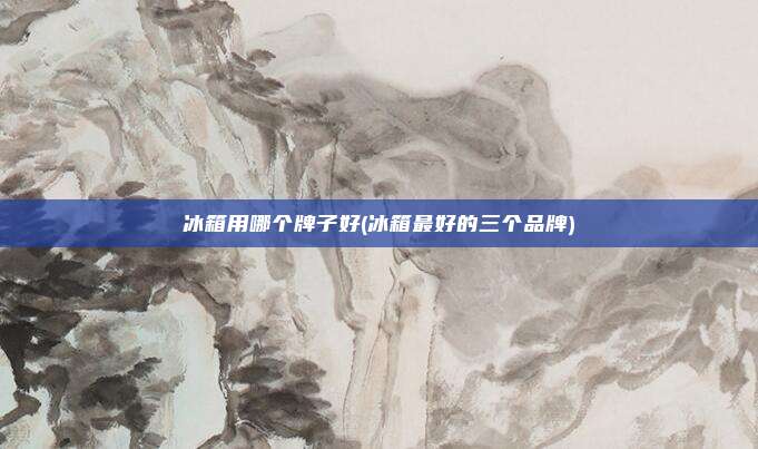 冰箱用哪个牌子好(冰箱最好的三个品牌)