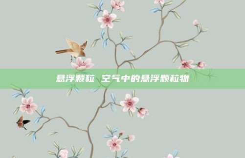 悬浮颗粒 空气中的悬浮颗粒物