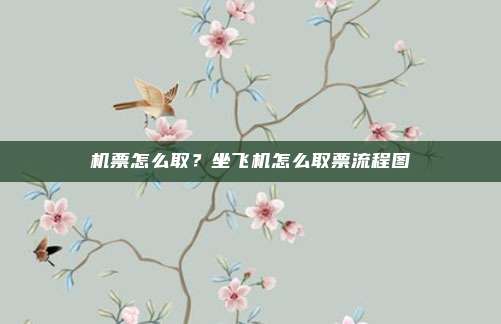 机票怎么取？坐飞机怎么取票流程图