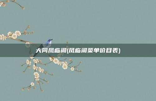 大同凤临阁(凤临阁菜单价目表)