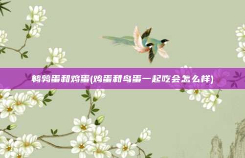 鹌鹑蛋和鸡蛋(鸡蛋和鸟蛋一起吃会怎么样)