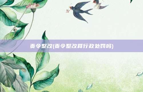责令整改(责令整改算行政处罚吗)