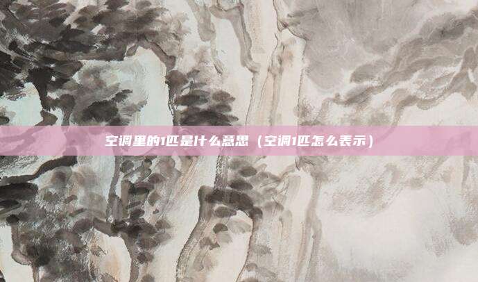 空调里的1匹是什么意思(空调1匹怎么表示)
