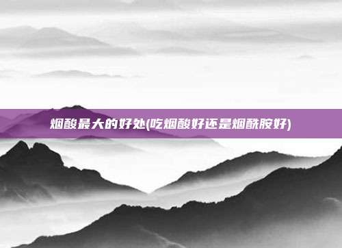 烟酸最大的好处(吃烟酸好还是烟酰胺好)