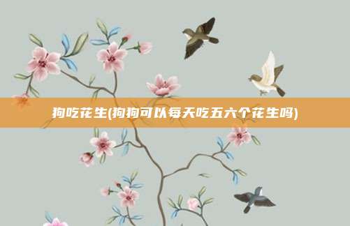 狗吃花生(狗狗可以每天吃五六个花生吗)