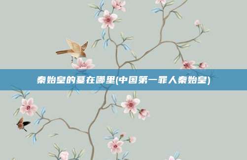 秦始皇的墓在哪里(中国第一罪人秦始皇)