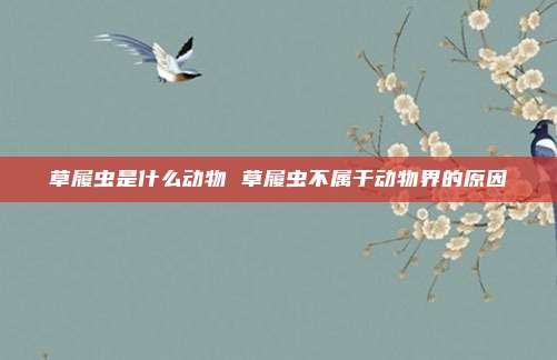 草履虫是什么动物 草履虫不属于动物界的原因