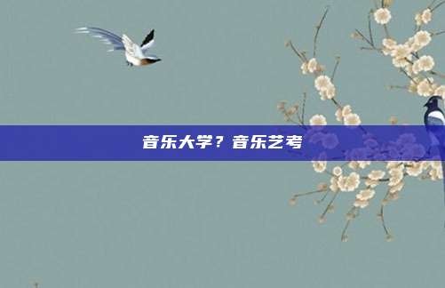 音乐大学?音乐艺考