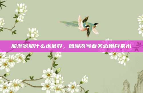 加湿器加什么水最好,加湿器写着务必用自来水