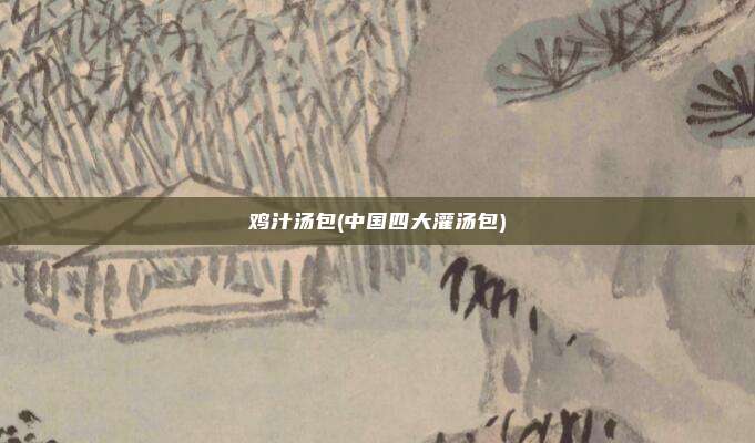 鸡汁汤包(中国四大灌汤包)