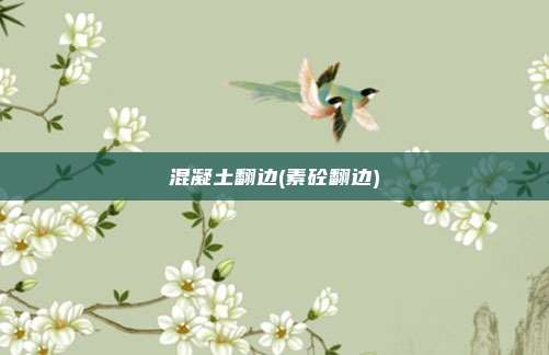 混凝土翻边(素砼翻边)