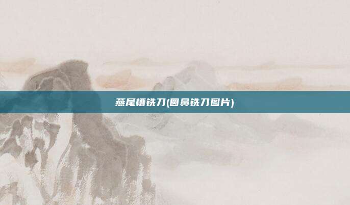 燕尾槽铣刀(圆鼻铣刀图片)