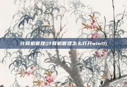 计算机管理(计算机管理怎么打开win11)