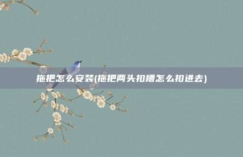 拖把怎么安装(拖把两头扣槽怎么扣进去)