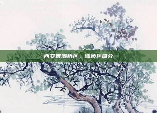 西安市灞桥区,灞桥区简介