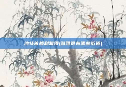 沙特首都利雅得(利雅得有哪些街道)
