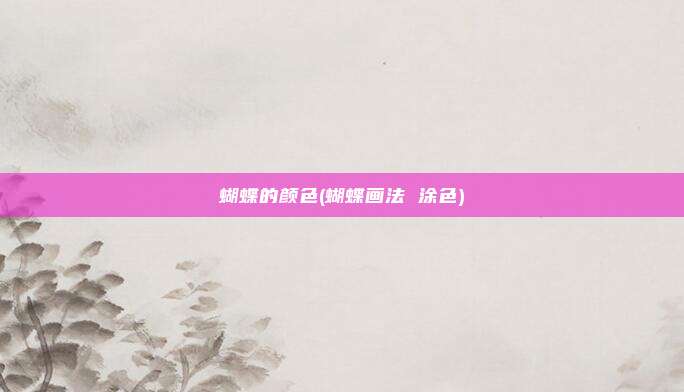 蝴蝶的颜色(蝴蝶画法 涂色)