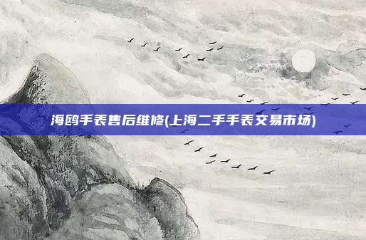 海鸥手表售后维修(上海二手手表交易市场)