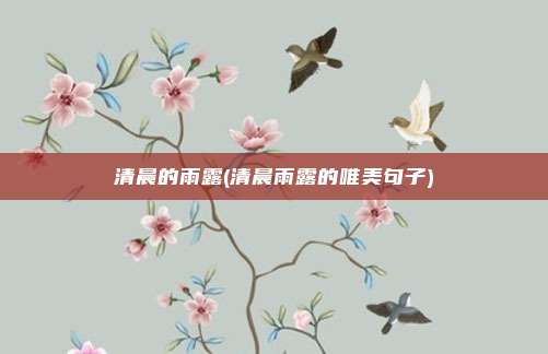清晨的雨露(清晨雨露的唯美句子)