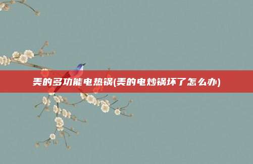 美的多功能电热锅(美的电炒锅坏了怎么办)