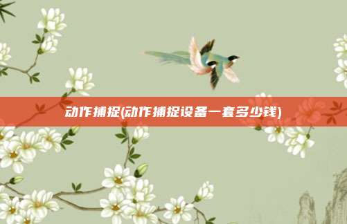 动作捕捉(动作捕捉设备一套多少钱)