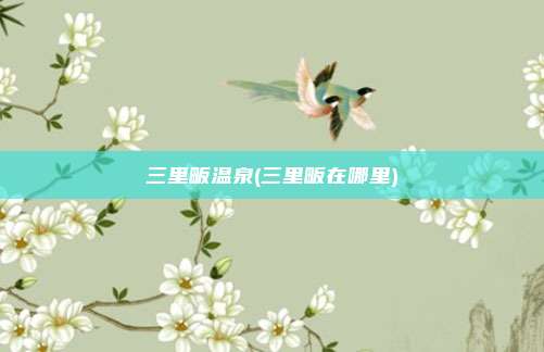 三里畈温泉(三里畈在哪里)