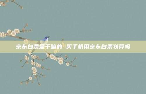 京东白条是干嘛的 买手机用京东白条划算吗