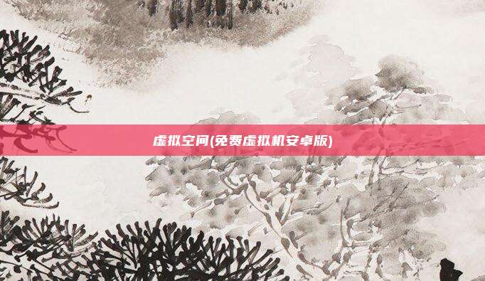 虚拟空间(免费虚拟机安卓版)