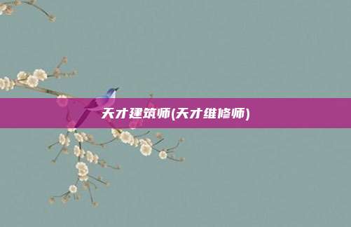 天才建筑师(天才维修师)