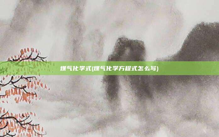 煤气化学式(煤气化学方程式怎么写)