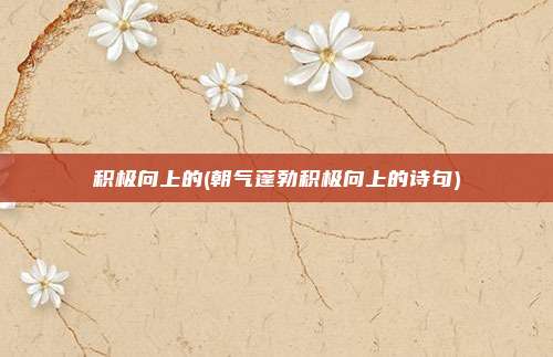 积极向上的(朝气蓬勃积极向上的诗句)