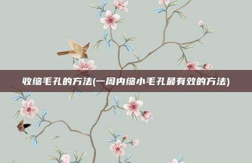 收缩毛孔的方法(一周内缩小毛孔最有效的方法)