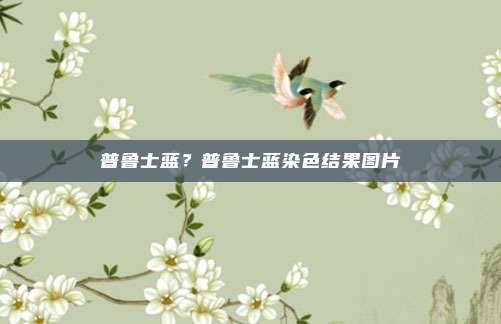 普鲁士蓝?普鲁士蓝染色结果图片