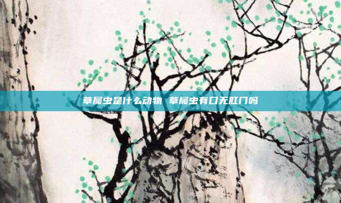 草履虫是什么动物 草履虫有口无肛门吗