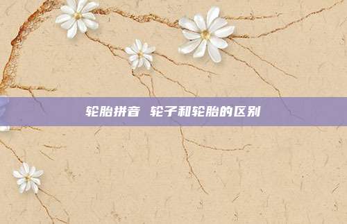 轮胎拼音 轮子和轮胎的区别