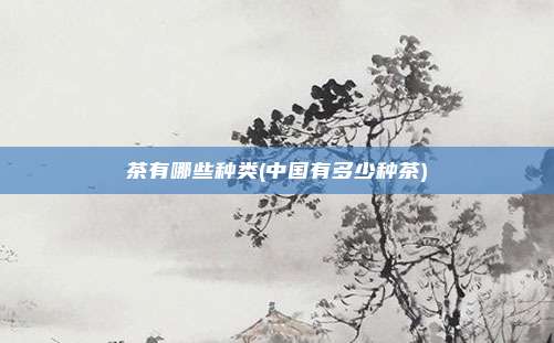 茶有哪些种类(中国有多少种茶)