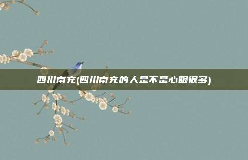 四川南充(四川南充的人是不是心眼很多)