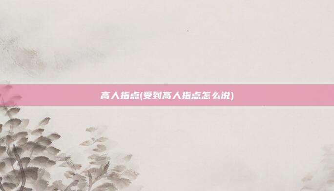 高人指点(受到高人指点怎么说)
