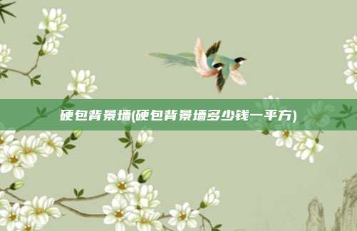 硬包背景墙(硬包背景墙多少钱一平方)