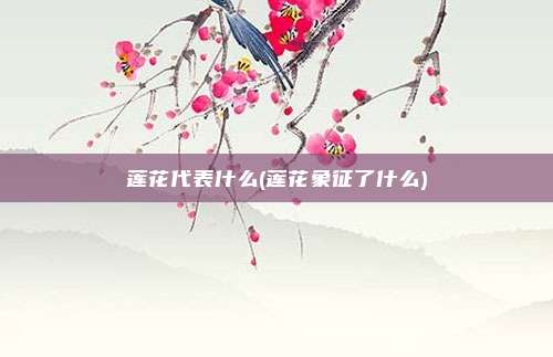莲花代表什么(莲花象征了什么)