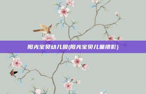 阳光宝贝幼儿园(阳光宝贝儿童摄影)