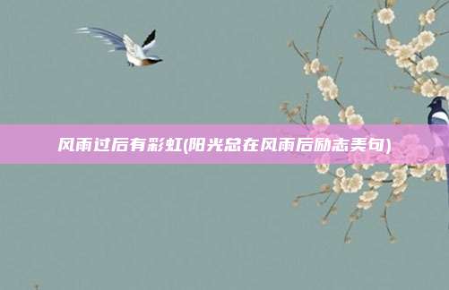 风雨过后有彩虹(阳光总在风雨后励志美句)