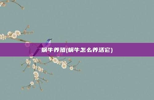 蜗牛养殖(蜗牛怎么养活它)