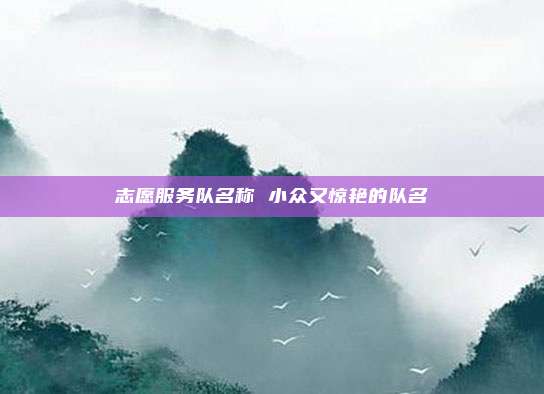 志愿服务队名称 小众又惊艳的队名