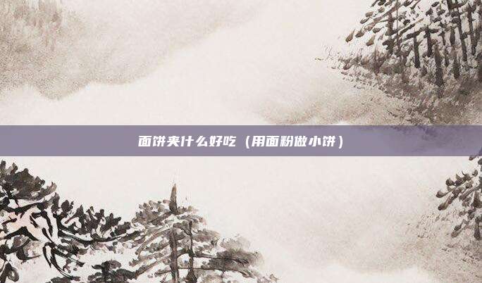 面饼夹什么好吃（用面粉做小饼）