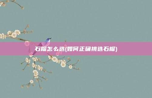 石榴怎么选(如何正确挑选石榴)