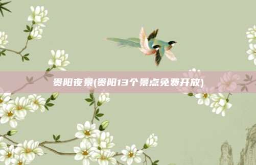 贵阳夜景(贵阳13个景点免费开放)