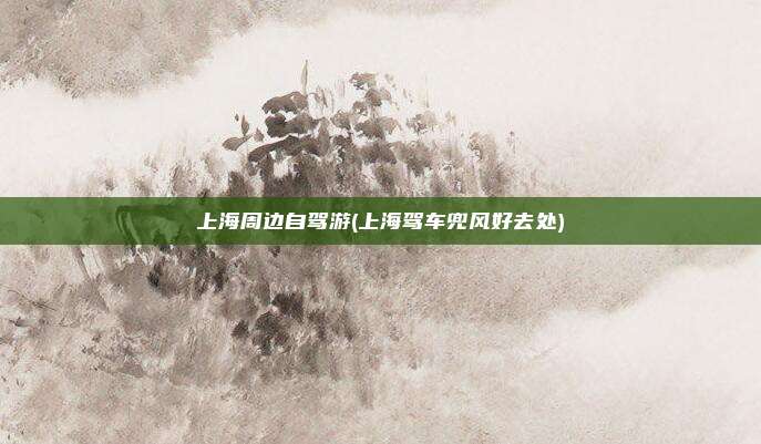 上海周边自驾游(上海驾车兜风好去处)