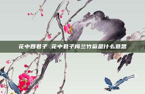 花中四君子 花中君子梅兰竹菊是什么意思
