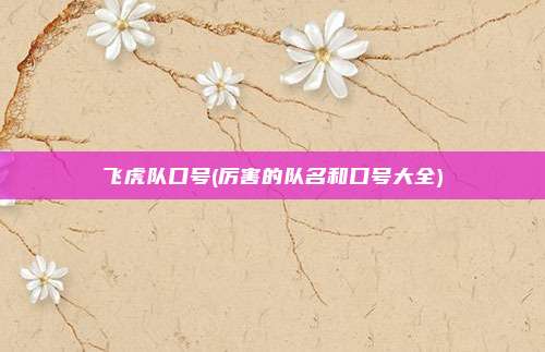 飞虎队口号(厉害的队名和口号大全)